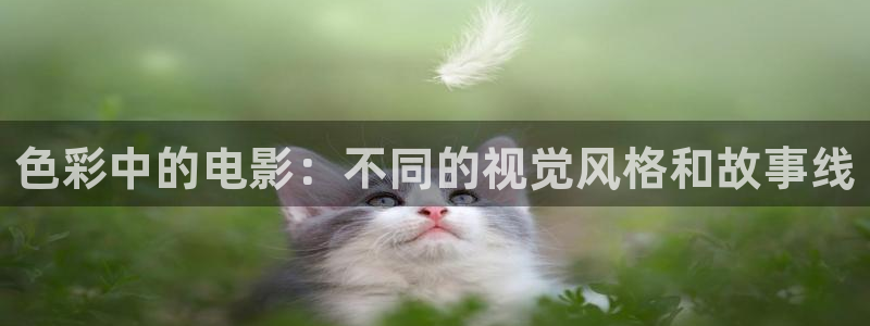 依依视频