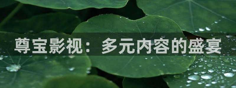依依影视在线