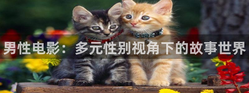 成人依依影院