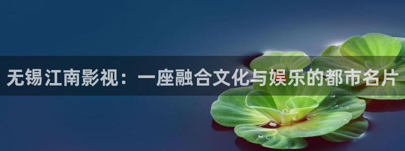 精品国产18久久久久久依依影院