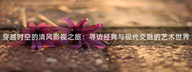 依依成人免费影院