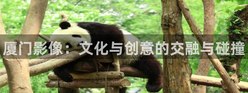 依依影院在线