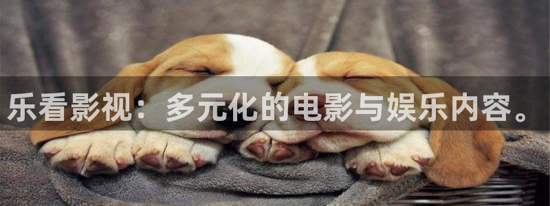 依依影院久久：乐看影视：多元化的电影与娱乐内容。