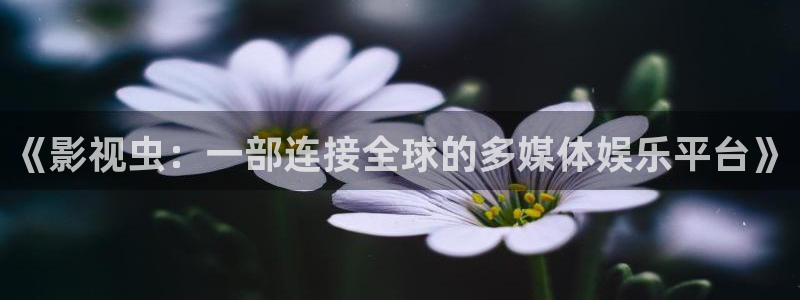 依依影院久久：《影视虫：一部连接全球的多媒体娱乐平台》